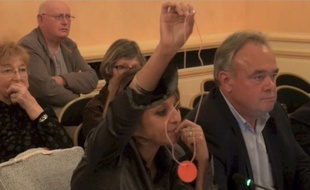 Capture d'écran: Conseil municipal d'Auxerre le 24 septembre 2015.