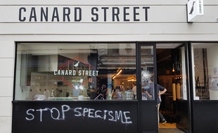 Le restaurant Canard Street a été vandalisé à Lille.