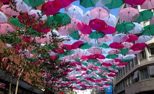Le toit de parapluie déployé à l'occasion de la 1ere édition du Wops festival.