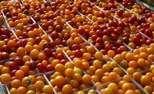 Les prix des fruits et légumes a baissé en 2017 après une année record en 2016.