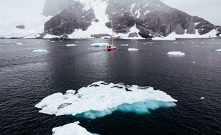 Un nouveau record de température à été enregistré en février 2020 sur la péninsule Antarctique.