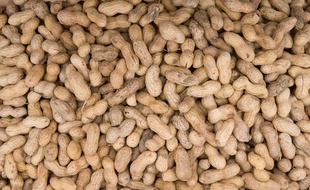 Des cacahuètes sur un marché de Capitol Hill, à Washington, le 27 juin 2008.