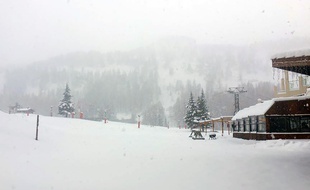 Ce lundi matin, au pied des pistes d'Isola 2000