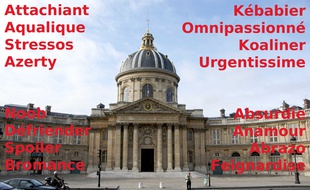 Les seize mots finalistes de la Coupe de France des mots absents du dictionnaire organisée par 20 Minutes