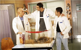 La série «H» est l'une des sitcoms françaises emblématiques des années 2000.