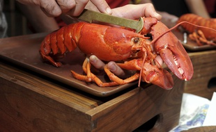 En Suisse, il faut désormais étourdir les homards avant de les plonger dans l'eau bouillante.