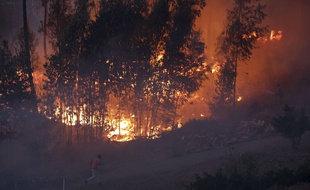 Le pilote, de nationalité portugaise, était expérimenté et participait au dispositif anti-incendie depuis 2013.