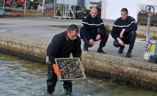 Des gendarmes discutent avec un ostréiculteur, le 20 décembre 2011, lors d'une patrouille pour lutter contre le vol d'huîtres dans les parcs ostréicoles de Beauvoir-sur Mer