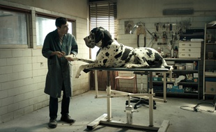 Dogman de Matteo Garrone