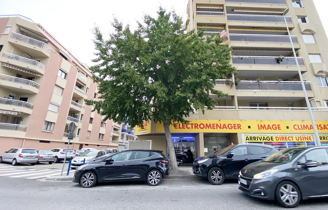 640x410_arbre-discorde-situe-rue-roquebi