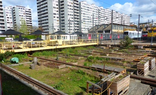 La part belle sera aussi faîte aux espaces verts sur le site.