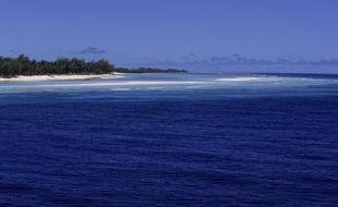 L'atoll d'Aldabra aux Seychelles.