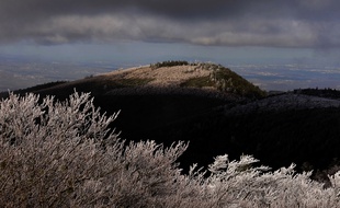 Dans le Parc Naturel Régional du Pilat, en Loire, le 18 janvier 2020 (image d'illustration).