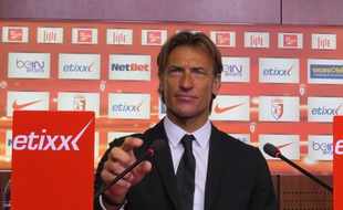 Hervé Renard ne sera resté que cinq mois à Lille