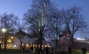 L'arbre à voeux, installé près du Miroir d'eau à Nantes