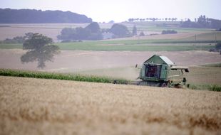 Un agriculteur français moissonne un champ de blé. (illustration).