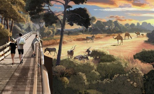 Le projet de méta-enclos du zoo de Montpellier.