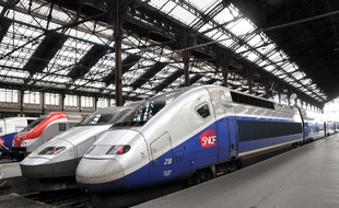 Illustration de TGV à quai, gare de Lyon.