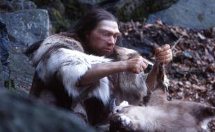 Homo sapiens neanderthalensis (reconstitution au Neanderthal Museum)