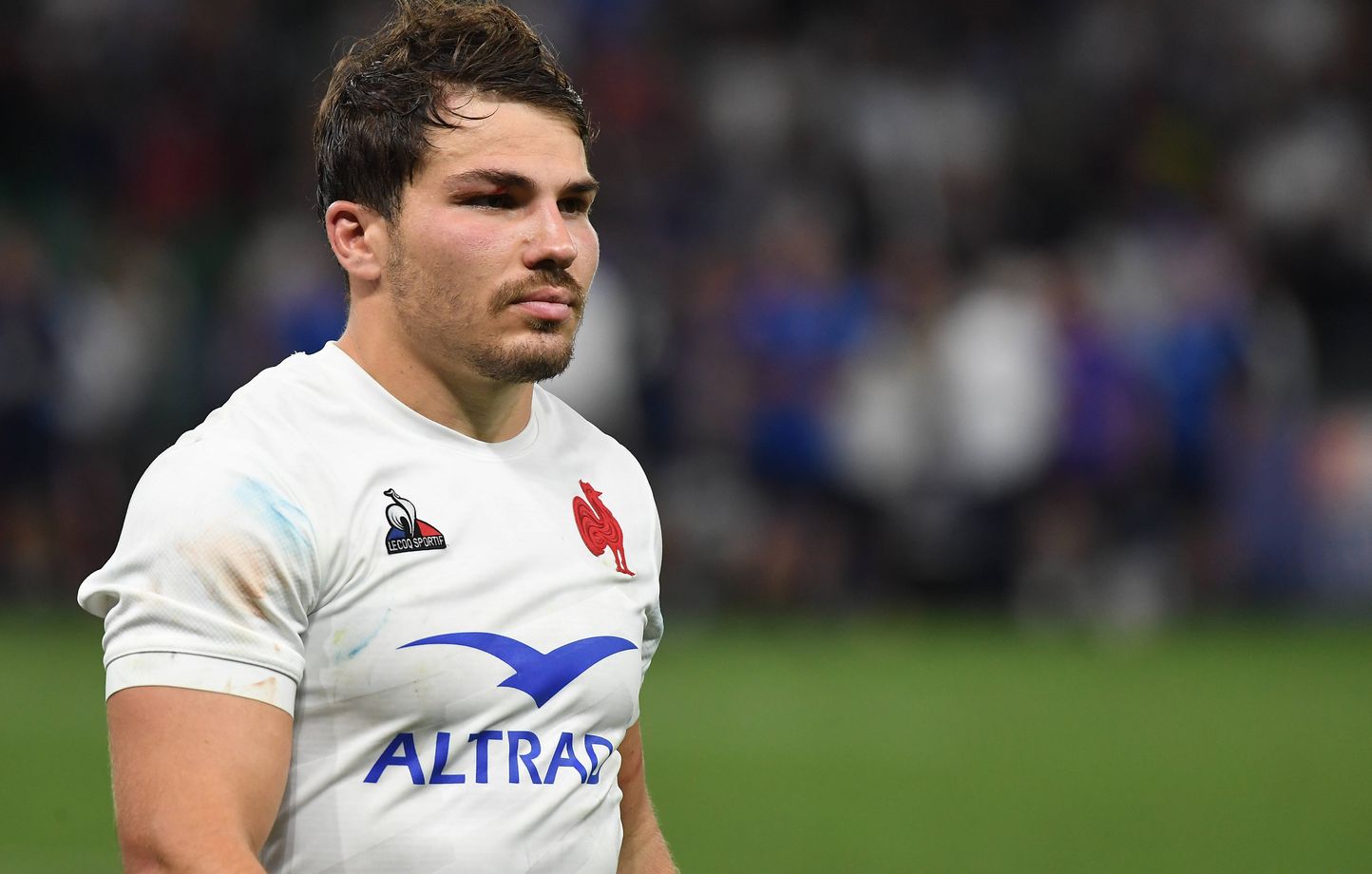 Porté par son capitaine Antoine Dupont, le XV de France prépare sa Coupe du monde. 