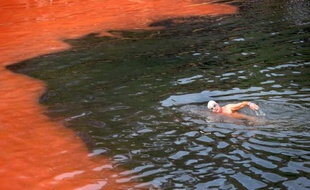 La prolifération d'algues rouges sur de vastes étendues le long de la côte sud-est de l'Australie coloraient jeudi les eaux d'un rose pêche et ont entraîné la fermeture de plusieurs plages.
