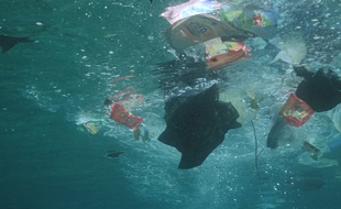 Les océans sont de plus en plus pollués par des plastiques.