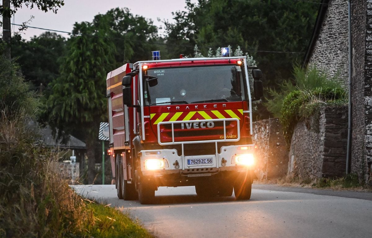 Incendie : Une femme tuée dans le violent feu de garrigue et résineux dans l'Aude