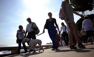 Un chien se balade sur la Croisette, le 10 mai 2011, à Cannes.