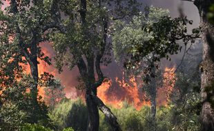 Le cadavre entièrement carbonisé avait été retrouvé le 10 septembre dernier à Cogolin (Var).
