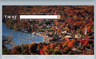 Capture d'écran du moteur de recherche Bing