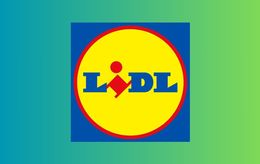 Vetement de best sale ski lidl