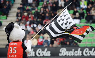 La mascotte du Stade Rennais Erminig brandit un drapeau breton lors de l'hymne Bro gozh ma zadou au Roazhon Park.