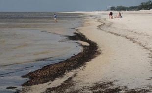 La plage de Biloxi, dans la Mississipi, souillée par la marée noire causée par l'explosion de la plate-forme Deepwater Horizon, le 7 mai 2010