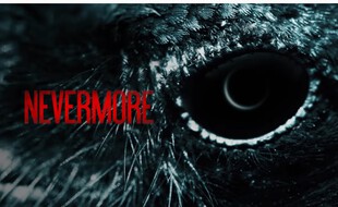 Détail de la vidéo Teaser de Nevermore, projet de Mylène Farmer.