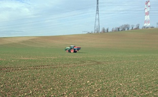 Un agriculteur répand des semences dans un champ (Illustration).