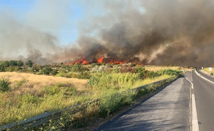 Une photo de l'incendie survenu ce dimanche à Loupian
