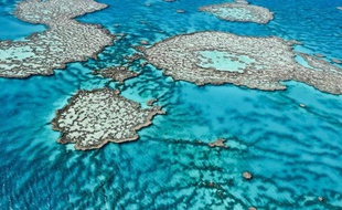 Photo non datée de la Grande barrière de corail fournie le 1er août 2013 par l'Institut australien de science marine