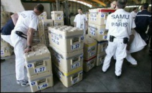 La Fédération internationale des Sociétés de la Croix-Rouge et du Croissant-Rouge a lancé un appel de fonds de 9,79 millions dollars (7,68 millions euros) afin daider la Croix-Rouge indonésienne à assister les rescapés et a envoyé sur place des équipes médicales venues des pays voisins.