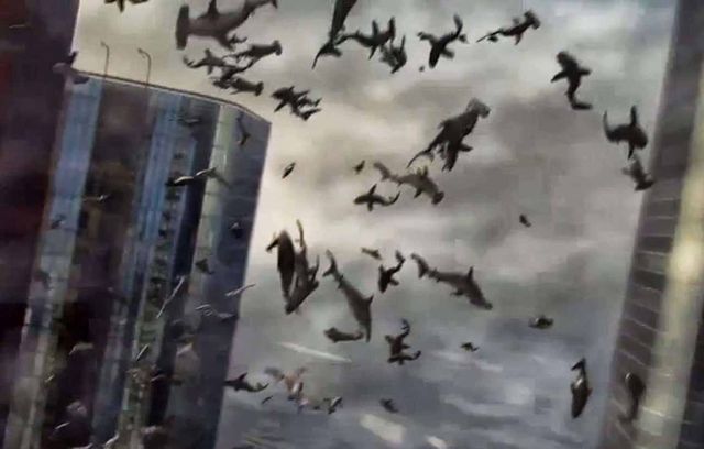 Pour les amoureux des films d’auteur, comment ne pas citer « Sharknado », sorti en 2013 ? Ce film-téléfilm-nanar imagine une maxi-tornade au Mexique qui entraîne une pluie de requins aux Etats-Unis, avec le bain de sang qui va avec. Ce bijou aura droit à pas moins de cinq suites, pour notre plus grand bonheur (ou pas).