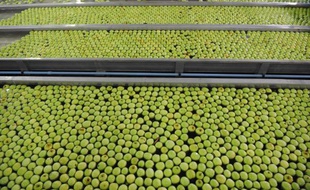La course au prix le plus bas entre les enseignes risque de coûter 5.000 emplois dans l'industrie agroalimentaire, selon l'association des professionnels du secteur