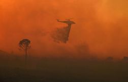 Les images des incendies « titanesques » qui dévastent la Grèce