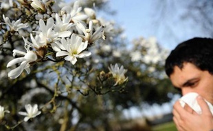 La rhinite alelrgique, ou rhume des foins, fait son retour avec le printemps