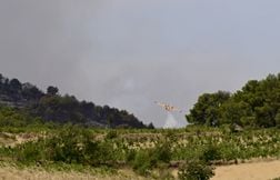L’arrachage des vignes a-t-il favorisé l’incendie dans l’Aude ?