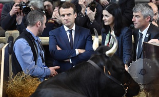 Emmanuel Macron en pleine campagne présidentielle au Salon de l'Agriculture, le 1er mars 2017.