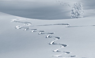 Illustration de traces dans la neige