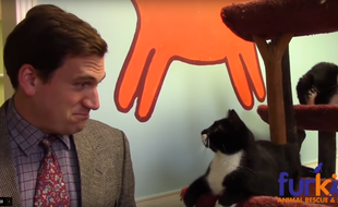 Capture d'écran de la vidéo mise en ligne par le refuge Furkids à Atlanta.