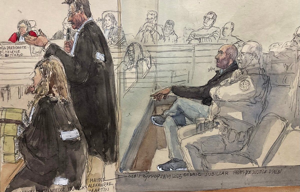 Procès de Cédric Jubillar : « Vous nous racontez une histoire mais vous n'en savez rien »... L'enquête passée au crible