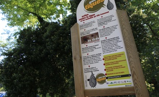 Panneaux de prévention contre les piqûres de tiques et de la maladie de Lyme à l'entrée d'une forêt de Strasbourg.