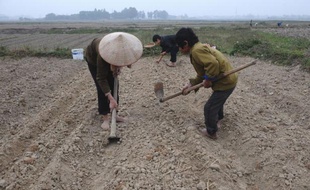 Les expropriations de terres sont sources de tensions depuis des décennies au Vietnam, mais la température est brusquement montée d'un cran depuis qu'un paysan s'est barricadé dans sa maison, avec mines et arme à feu, pour tenir tête aux forces de l'ordre.