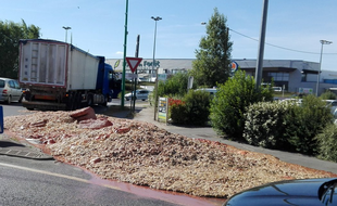 La cargaison d'abats a entièrement recouvert la route.